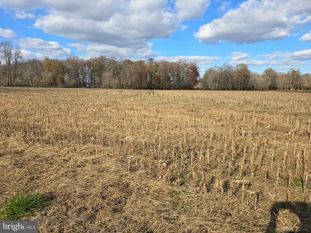 $175,000 | 1 Poplar Neck, Unit ROAD, Willards, MD 21874