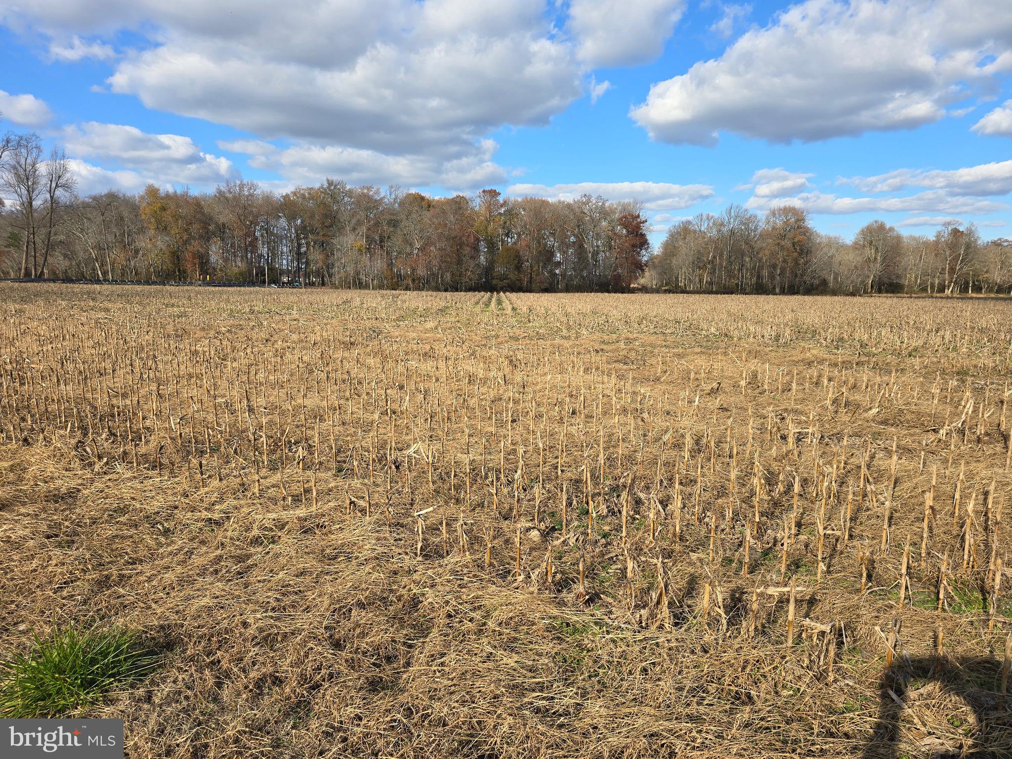 1 Poplar Neck, Unit ROAD Willards, MD 21874 - Photo 5 of 14