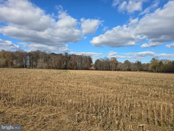 $175,000 | 1 Poplar Neck, Unit ROAD, Willards, MD 21874