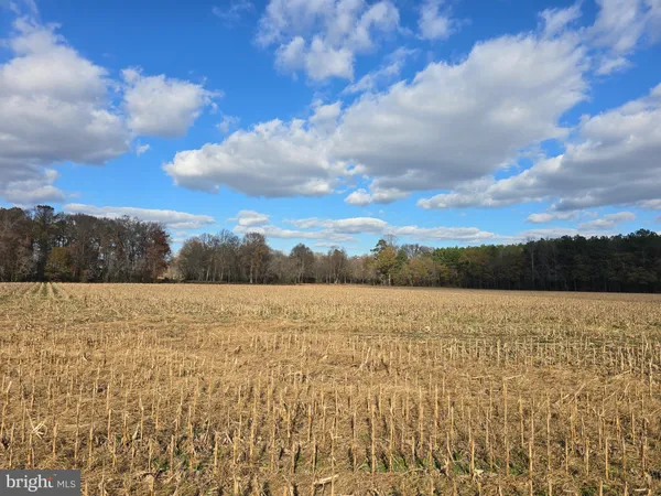 $175,000 | 1 Poplar Neck, Unit ROAD, Willards, MD 21874