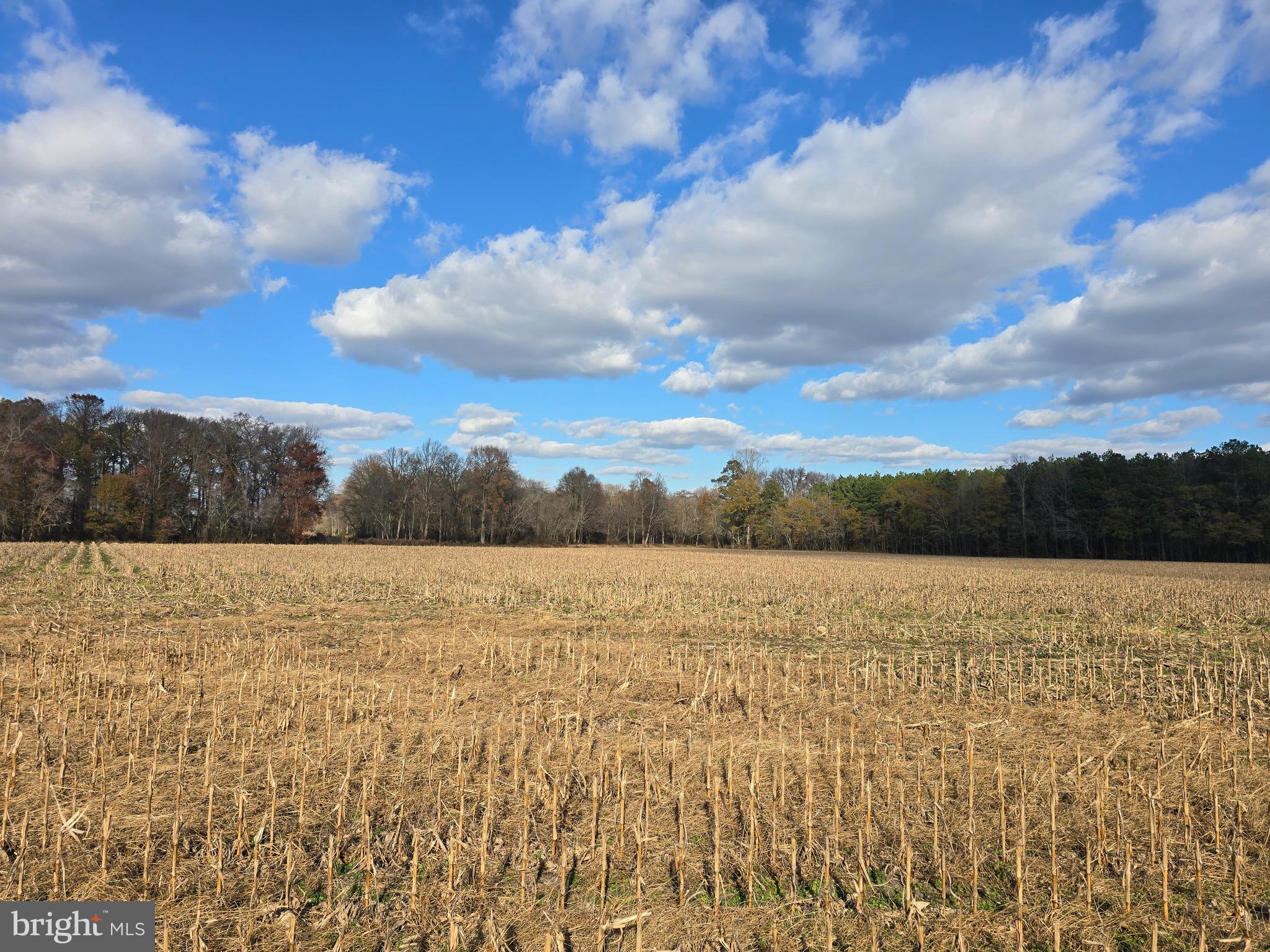 1 Poplar Neck, Unit ROAD Willards, MD 21874 - Photo 7 of 14 a view of an ocean
