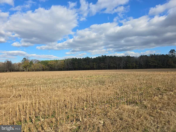$175,000 | 1 Poplar Neck, Unit ROAD, Willards, MD 21874
