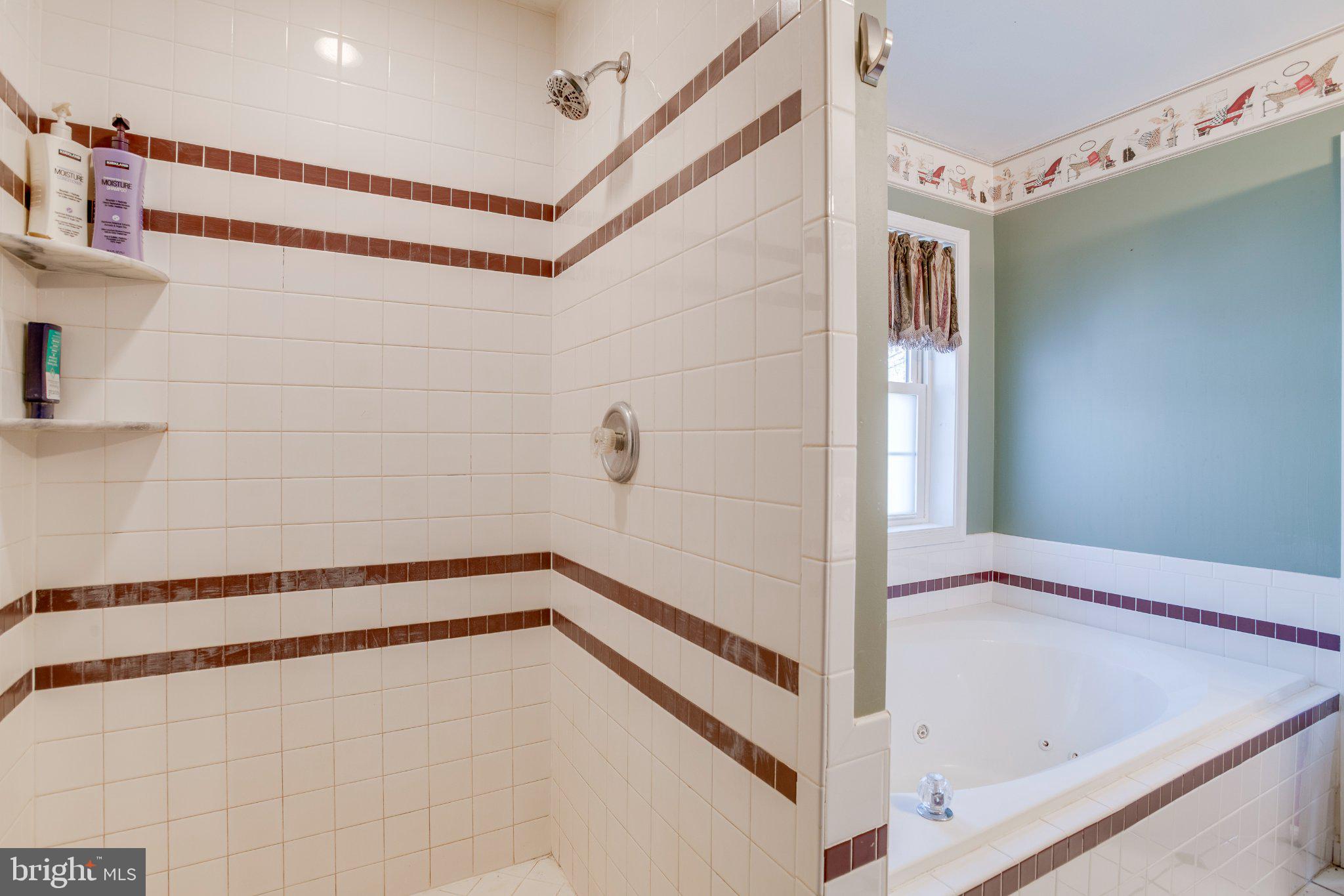 3220 Courtney School Road Midland, VA 22728 - Photo 38 of 111 Elegant bathroom with shower and tub.