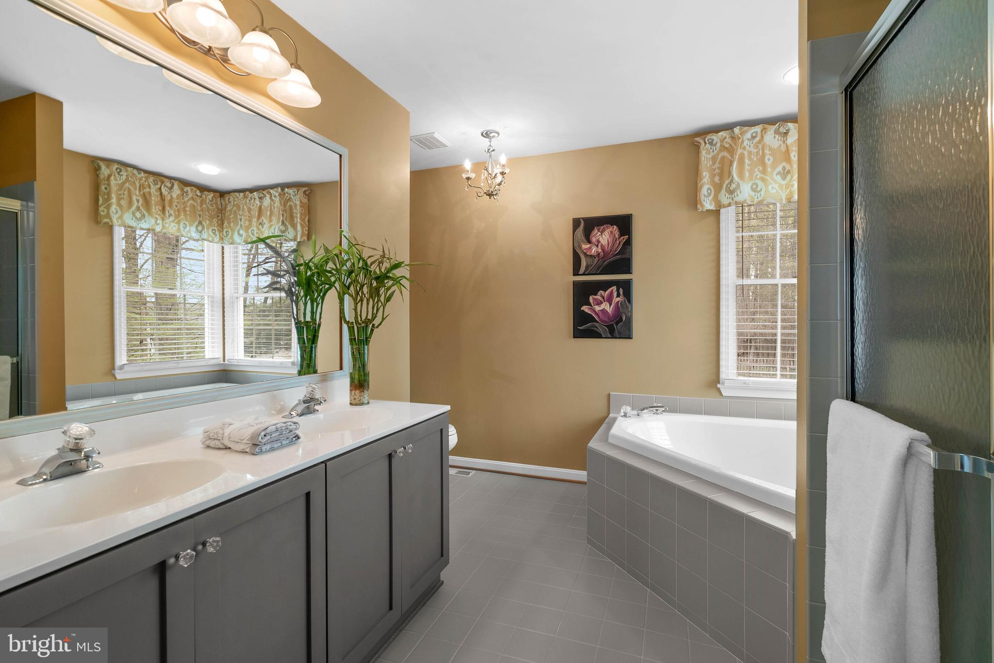 2358 McKenzie Road Ellicott City, MD 21042 - Photo 26 of 52 Primary Bathroom