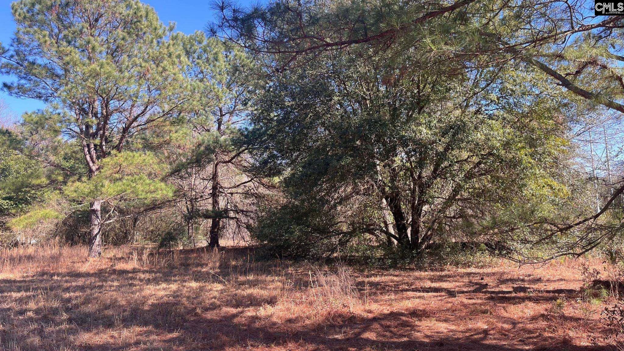 Tbd Veterans Road Salley, SC 29137 - Photo 16 of 17