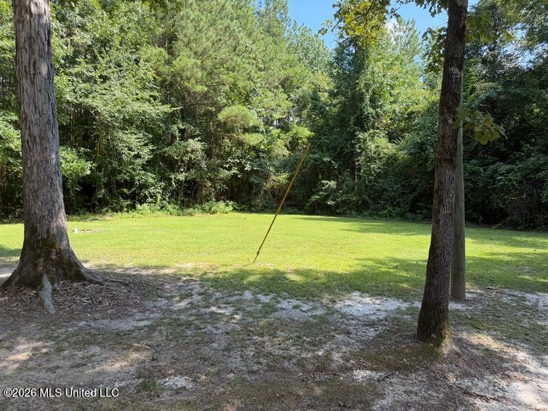 18159 Highway 15 Decatur, MS 39327 - Photo 76 of 84 width_800 (4)