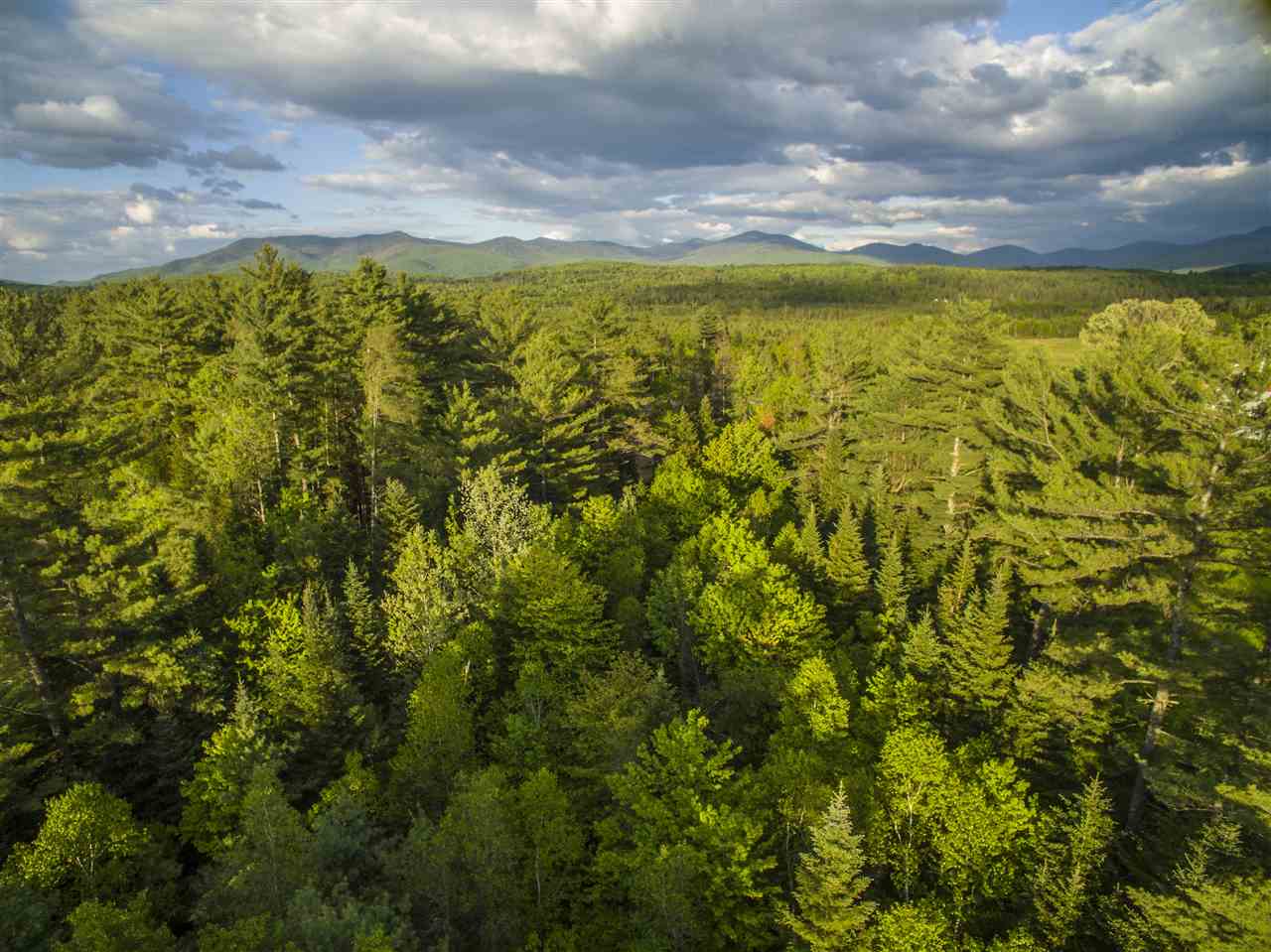 0 Pine Haven Road Lancaster, NH 03584 - Photo 5 of 11