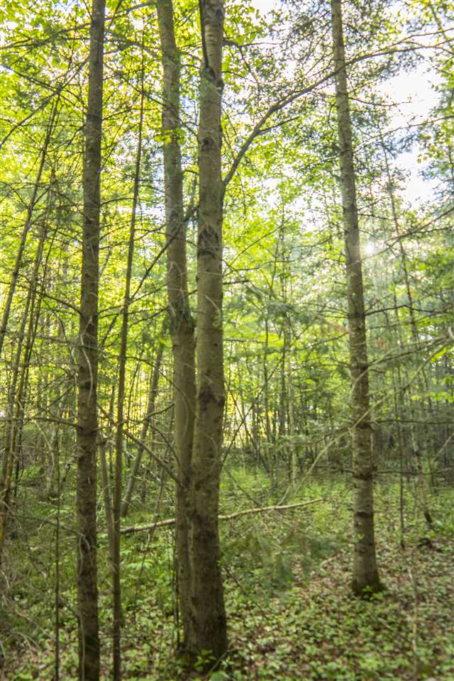 0 Pine Haven Road Lancaster, NH 03584 - Photo 7 of 11