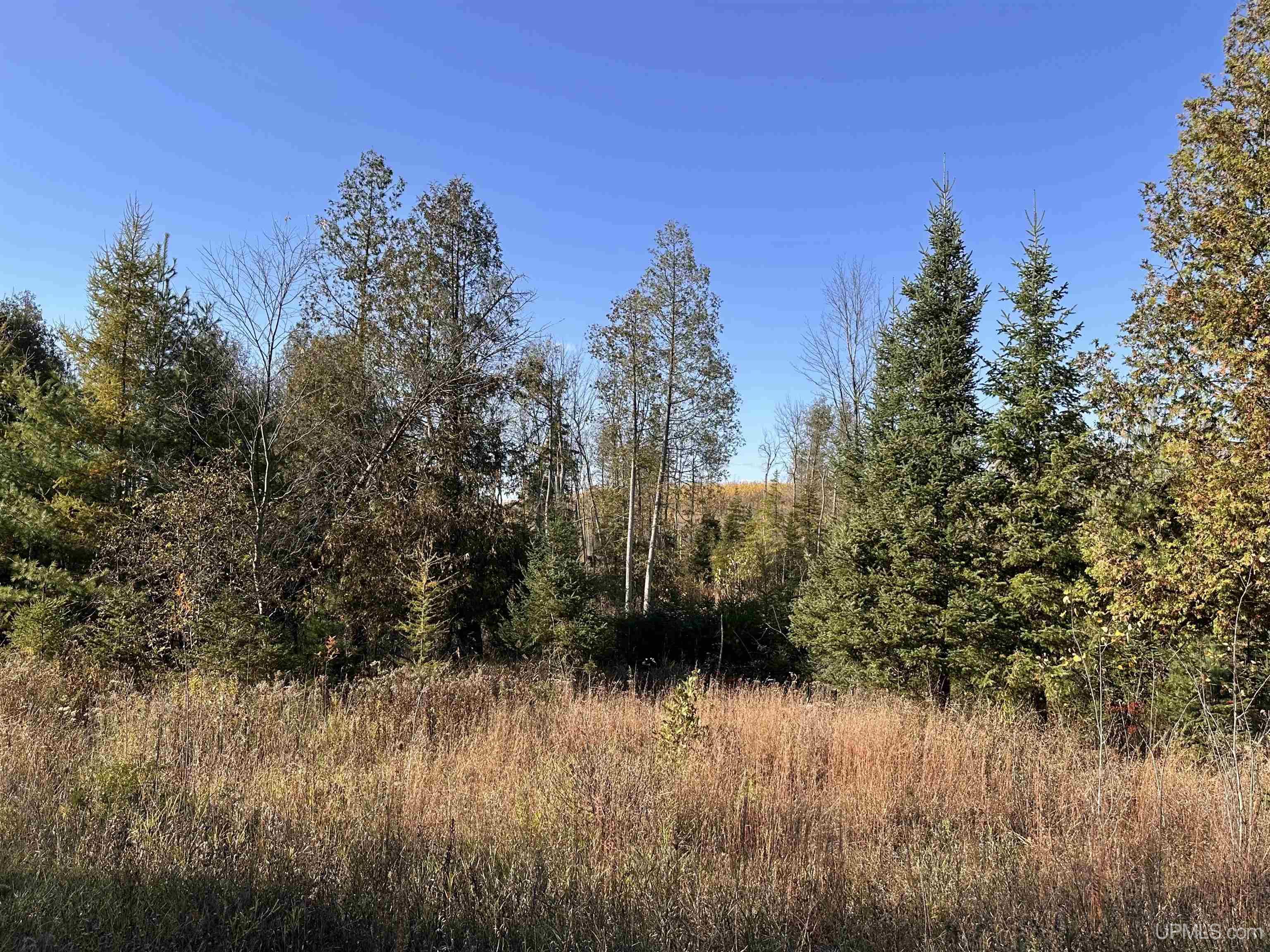 W8220 Co Road Vulcan, MI 49892 - Photo 3 of 14