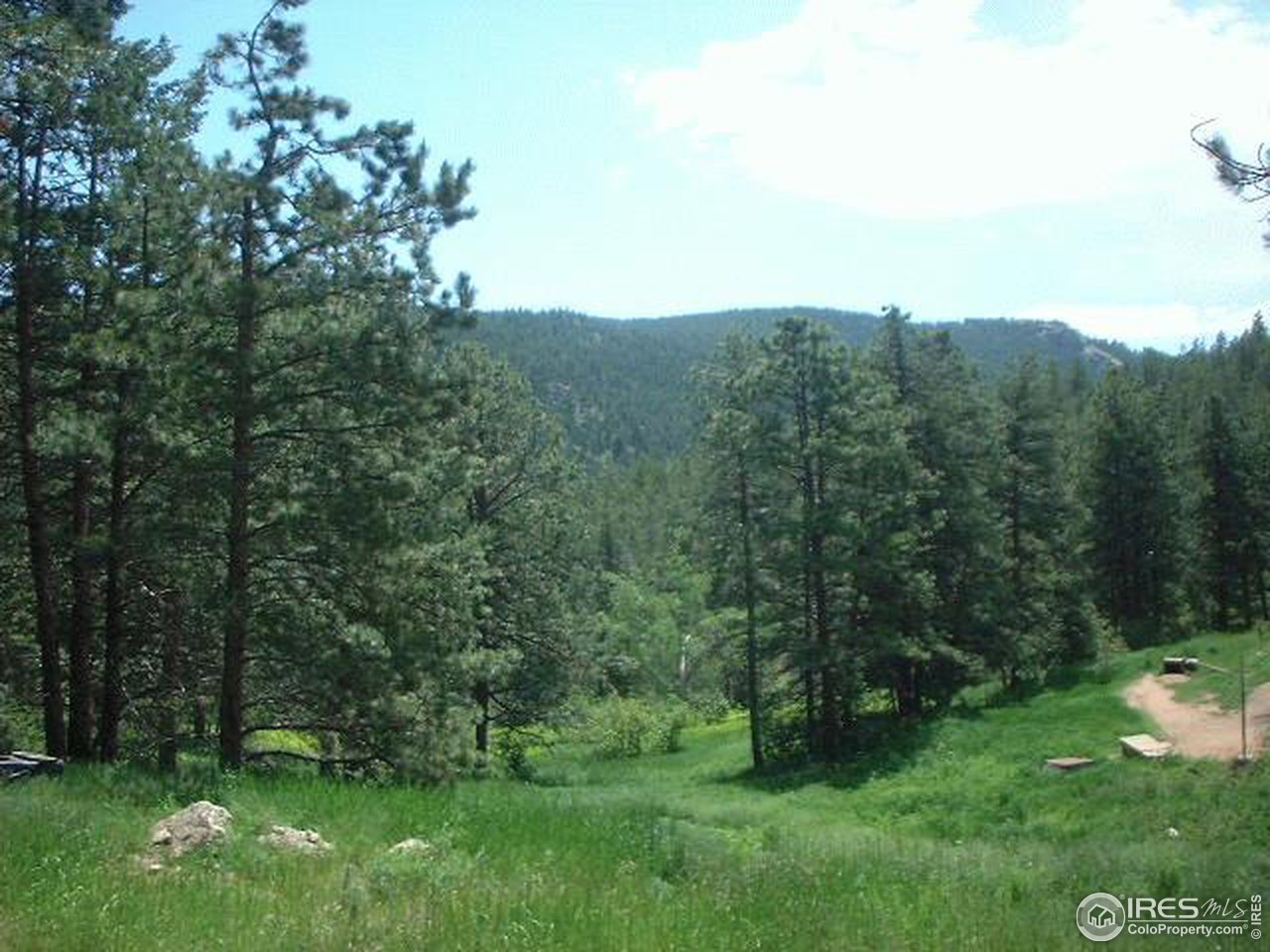 1082 Davis Ranch Road Bellvue, CO 80512 - Photo 1 of 6 a view of a grassy field with trees in the background