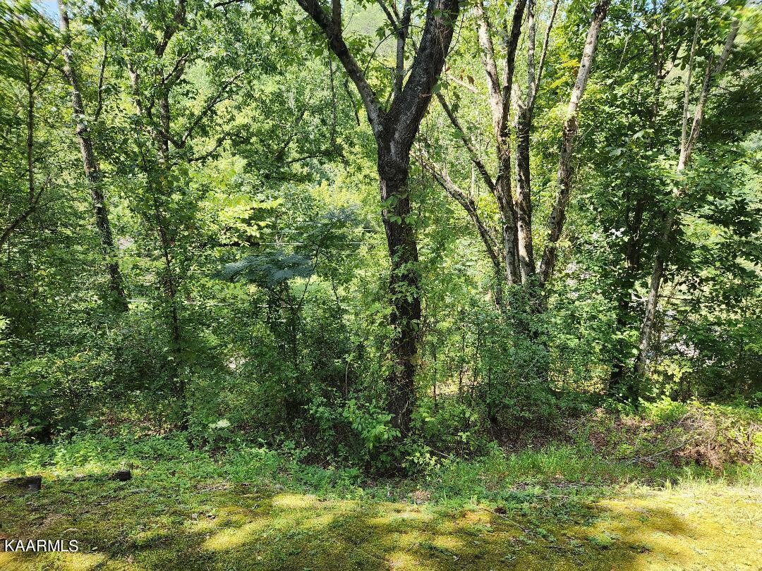 2957 Ridgecrest Trail Sevierville, TN 37863 - Photo 12 of 45