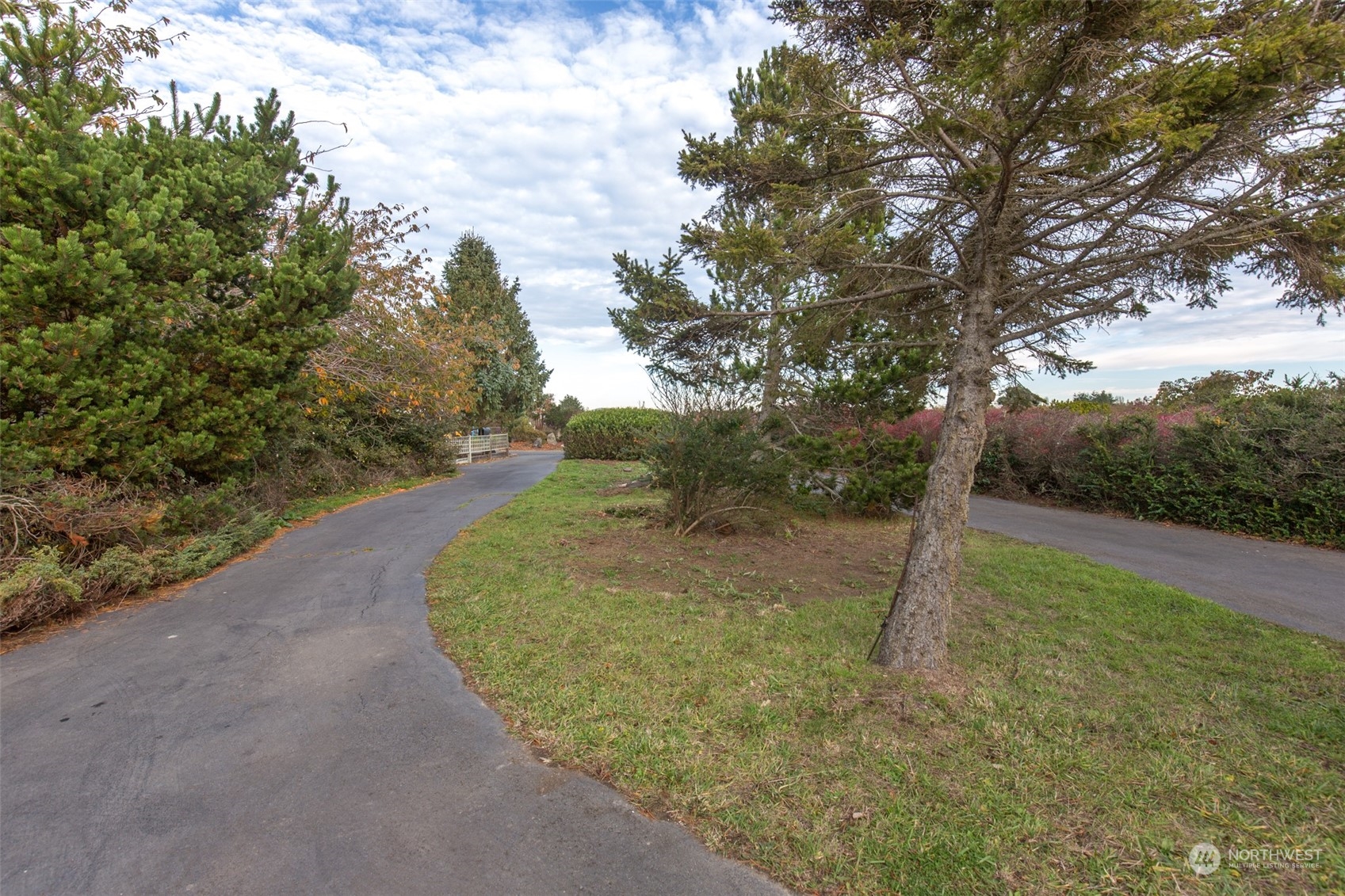 193 Mariners Point Road Sequim, WA 98382 - Photo 29 of 36 a view of a backyard