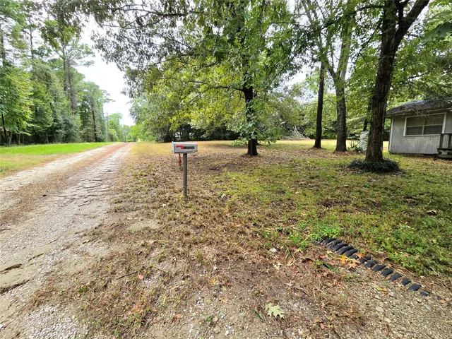 a view of backyard with tree