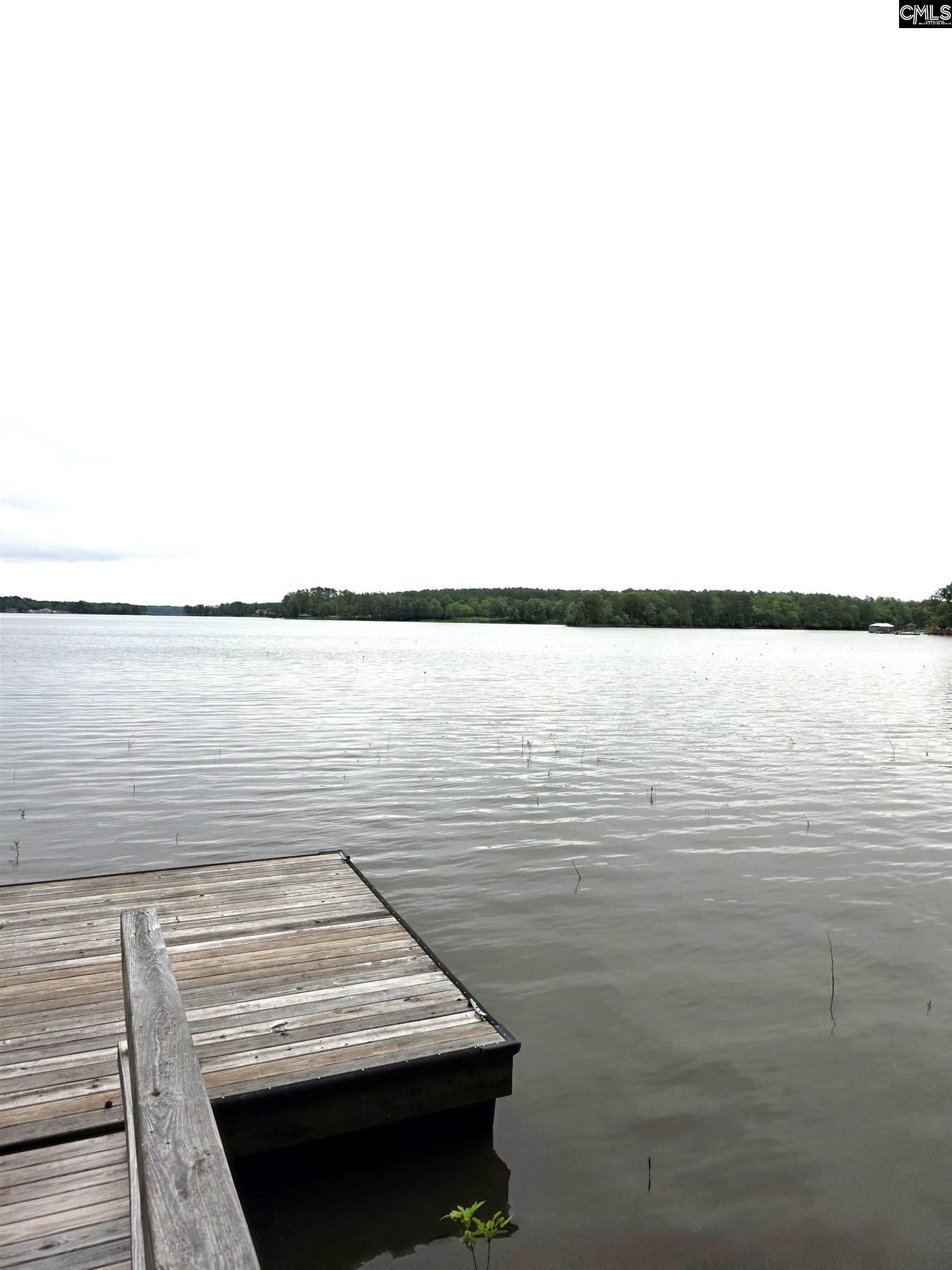 1595 State Rd S-20-317 Winnsboro, SC 29180 - Photo 3 of 8