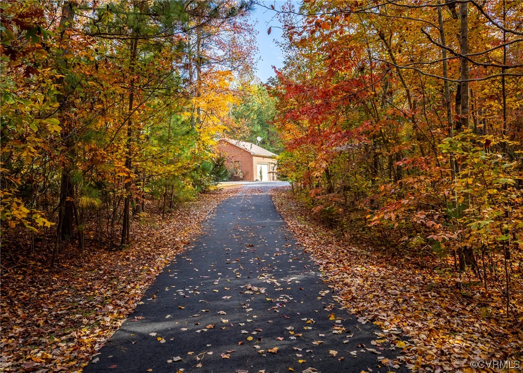 175 Walton Road Keysville, VA 23947 - Photo 2 of 49 a pathway of a yard