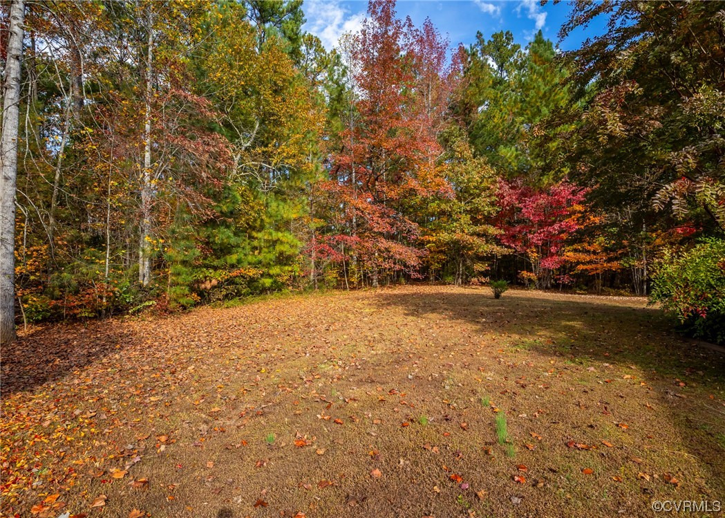 175 Walton Road Keysville, VA 23947 - Photo 4 of 49