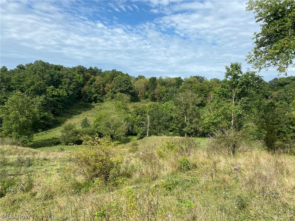 Johnny Woods River Road Cumberland, OH 43732 - Photo 5 of 10