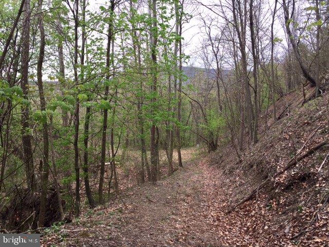 0 Lower Bailey Road Newport, PA 17074 - Photo 13 of 15