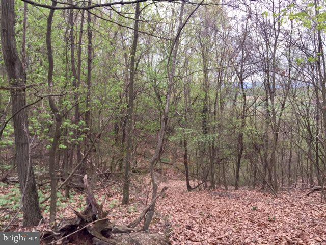 0 Lower Bailey Road Newport, PA 17074 - Photo 14 of 15