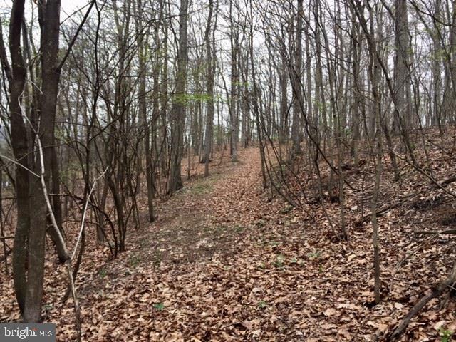 0 Lower Bailey Road Newport, PA 17074 - Photo 3 of 15