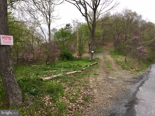 0 Lower Bailey Road Newport, PA 17074 - Photo 6 of 15