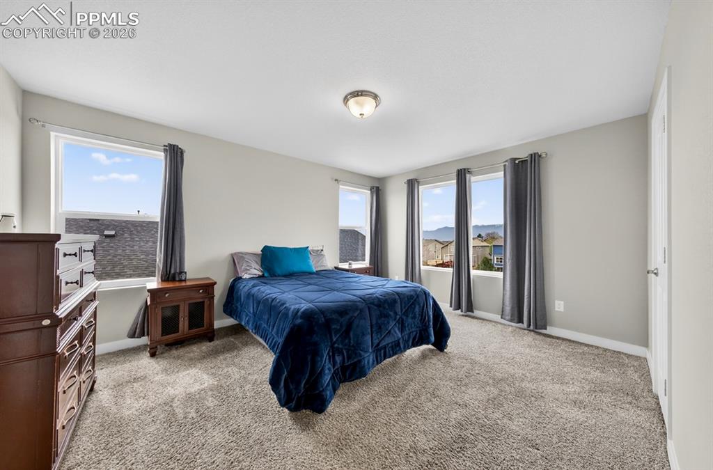 3932 Ryedale Way Colorado Springs, CO 80922 - Photo 29 of 50