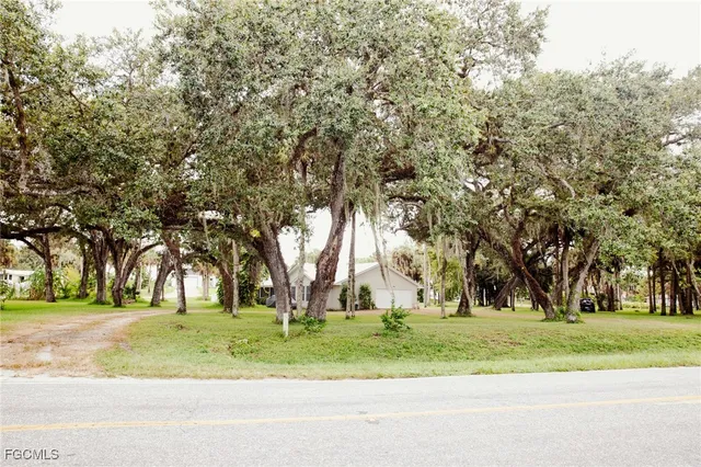 a big yard with large trees