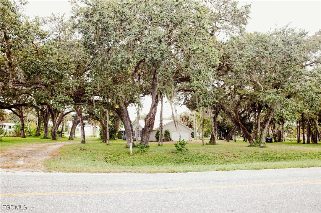 4055 County Road 78 Fort Denaud, FL 33935 - Photo 2 of 28 a big yard with large trees