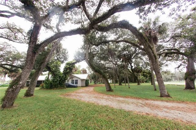 a view of a tree in front of a house