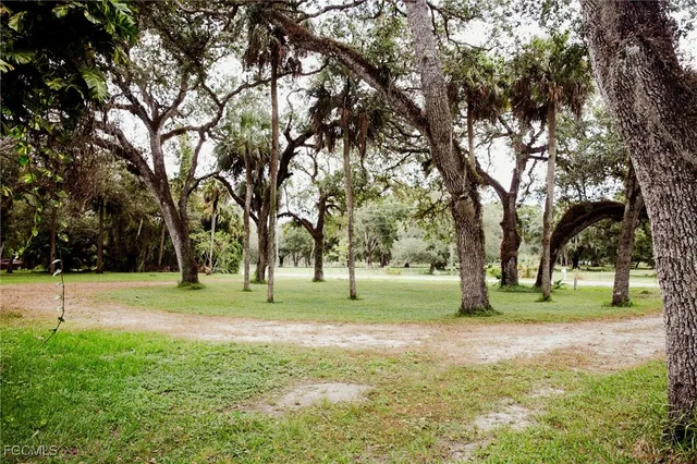 a big yard with lots of trees and plants