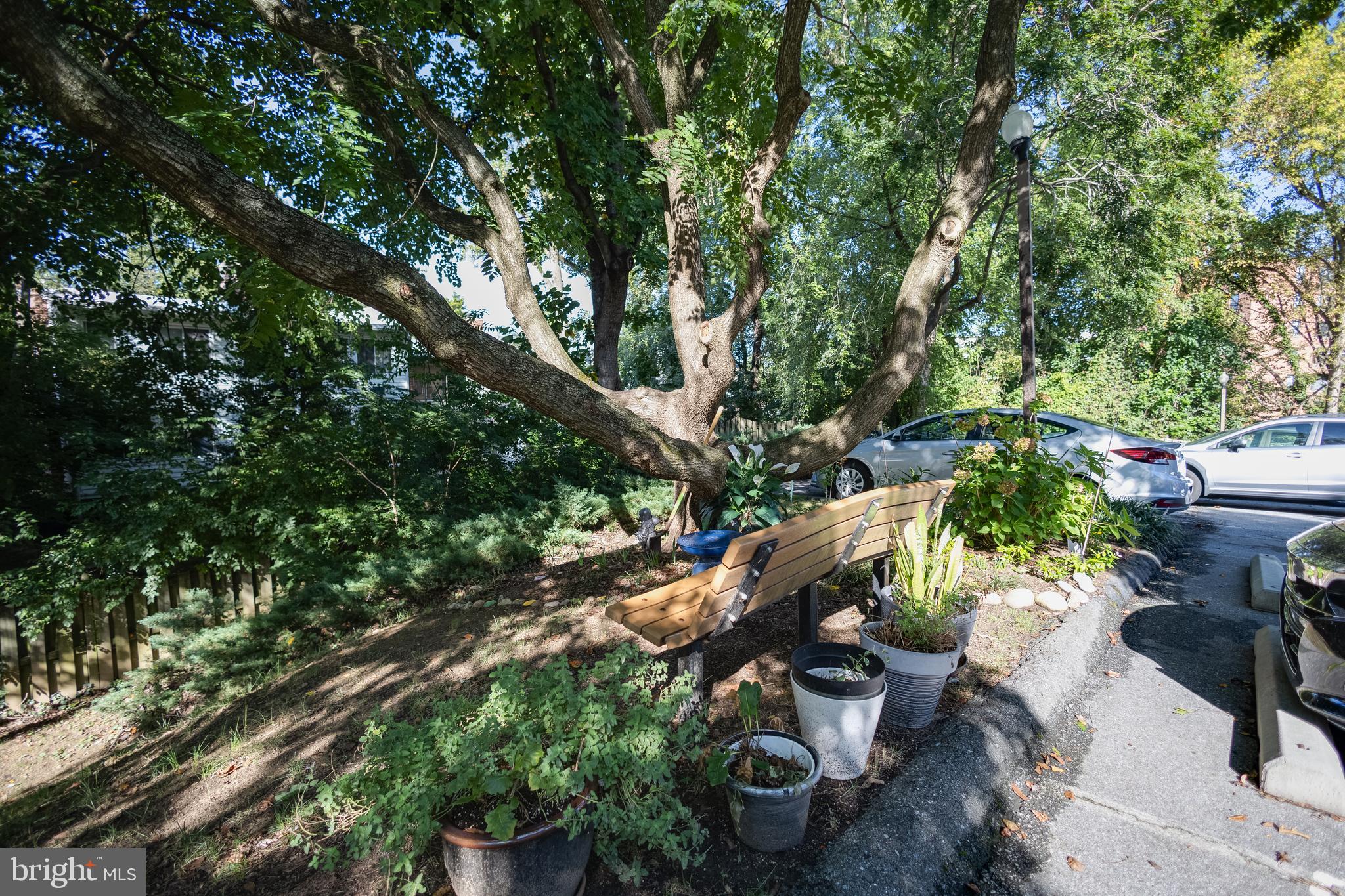 3825 Davis Place Northwest, Unit 103 Washington, DC 20007 - Photo 26 of 26 a view of a chairs and table in a backyard