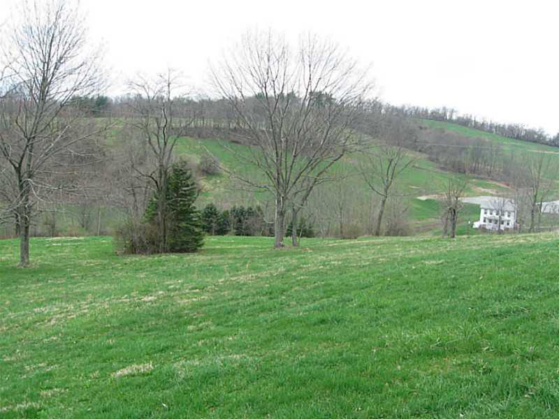 528 Horne Run Road Amity, PA 15311 - Photo 3 of 22 Land.