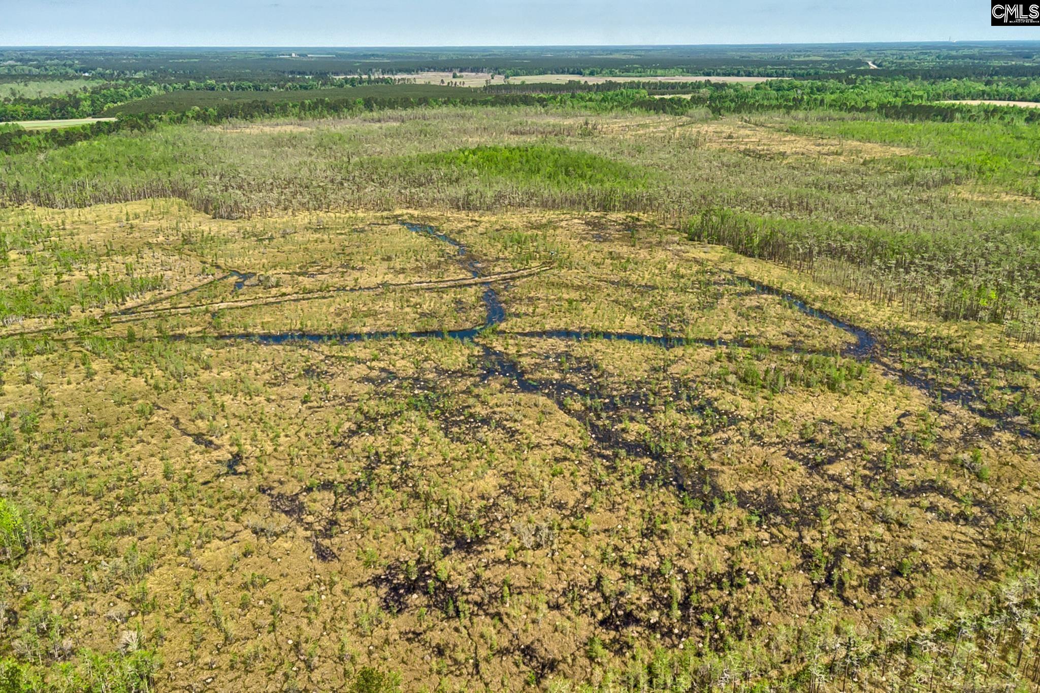 Tbd Alligator Road Olar, SC 29843 - Photo 21 of 24