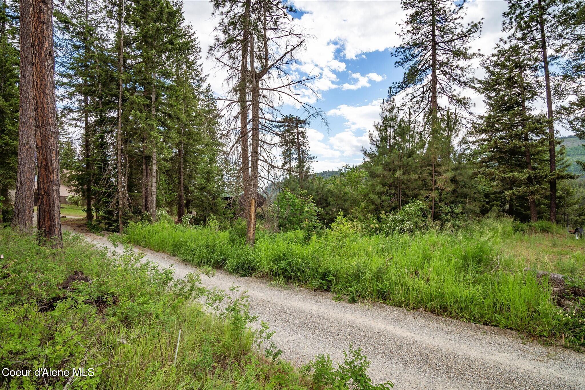 5860 West Freeman Road Rathdrum, ID 83858 - Photo 31 of 32 Top of lot