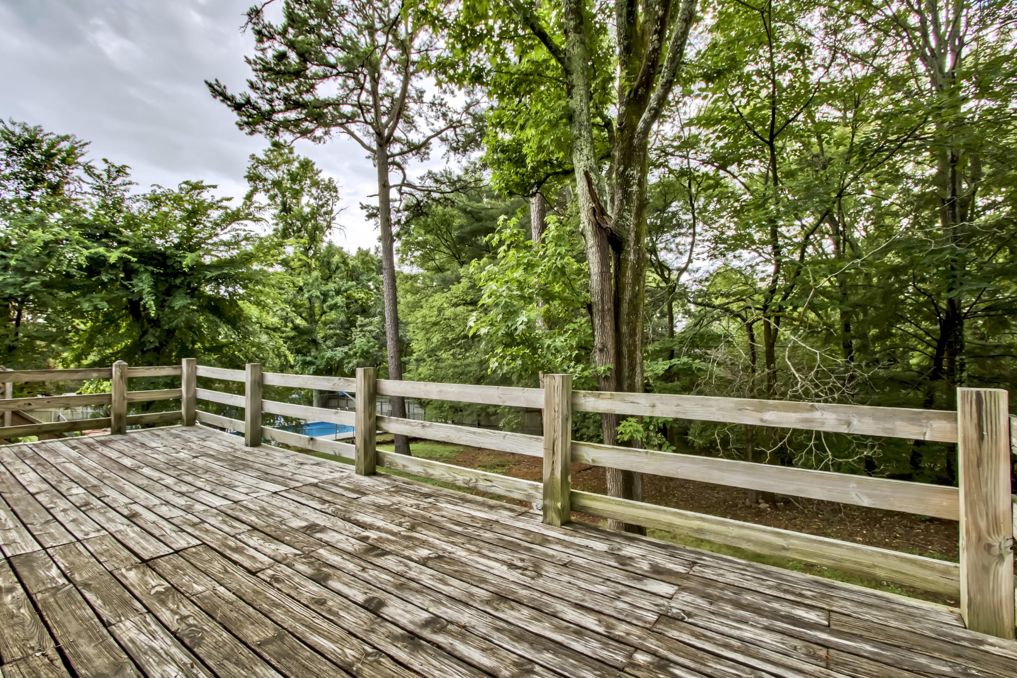 2213 Roundtree Road Knoxville, TN 37923 - Photo 8 of 31