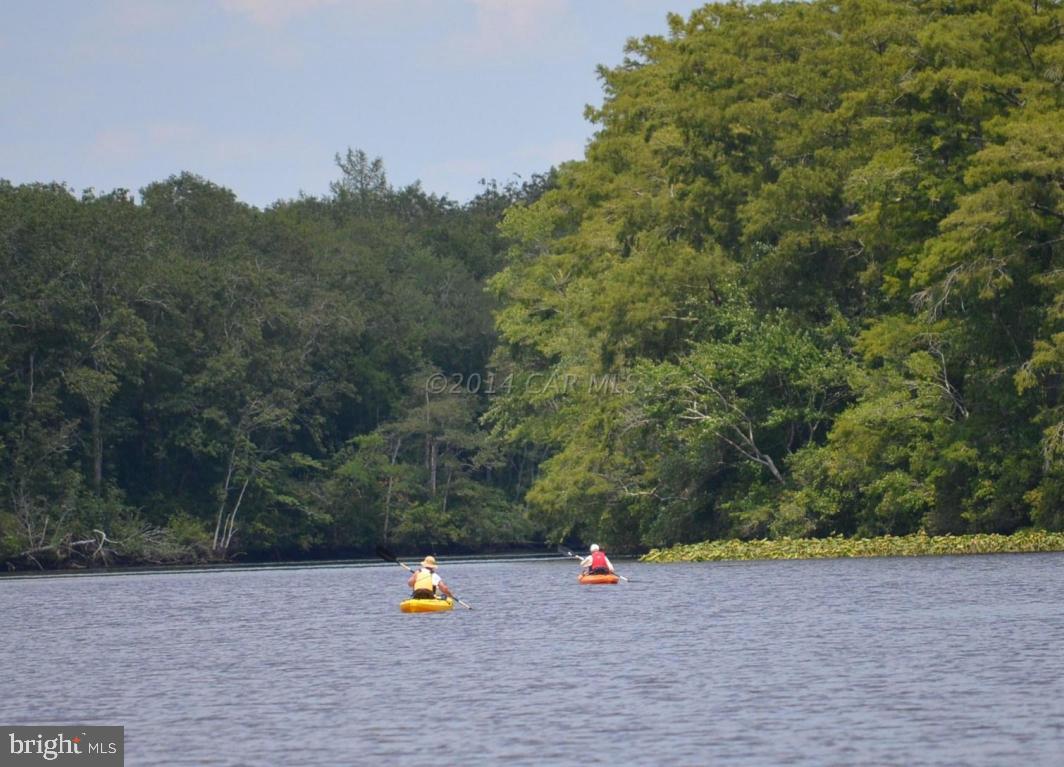 5919 Box Iron Road Girdletree, MD 21829 - Photo 21 of 46 Gallery Image 21