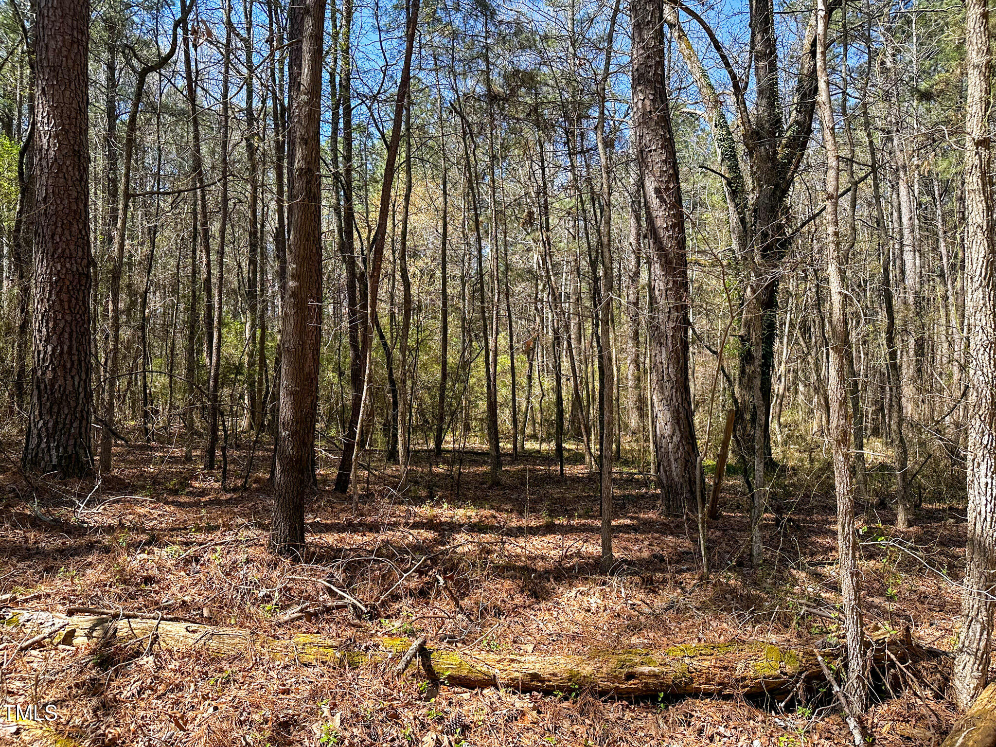 0 Brower Road Siler City, NC 27344 - Photo 7 of 15 Brower Road 7