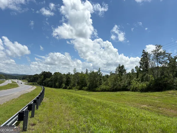 a view of a big yard with potted plants and big trees
