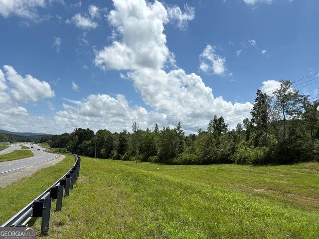 a view of a big yard with potted plants and big trees