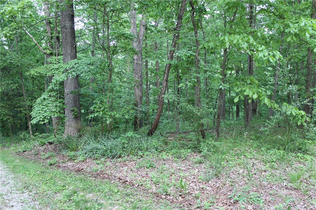 2784 Shepherd Road Nashville, IN 47448 - Photo 38 of 41 Gallery Image 38