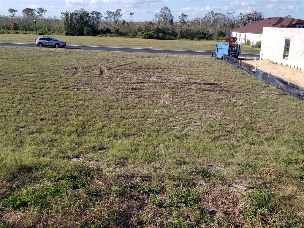 412 Adams View Lane Auburndale, FL 33823 - Photo 2 of 21 a view of an outdoor space and a yard