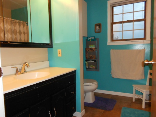 7239 West Harrison Road Alma, MI 48801 - Photo 32 of 39 1800223-31.JPG