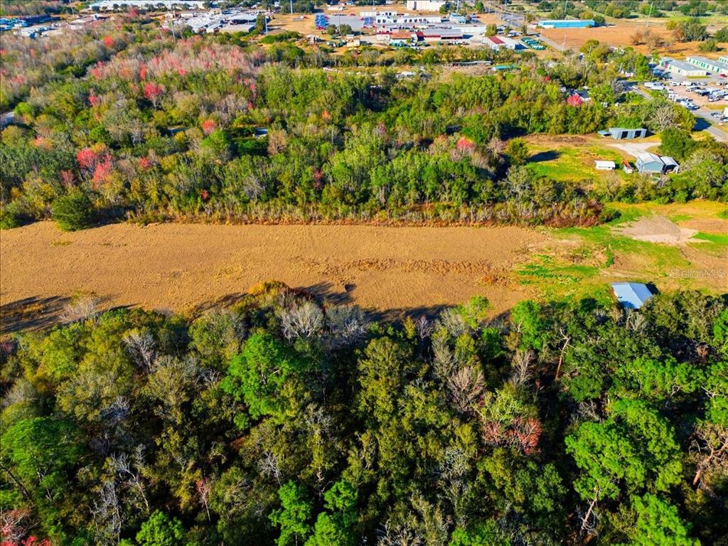 2016 Thornhill Road Auburndale, FL 33823 - Photo 8 of 15 a view of a yard with a tree