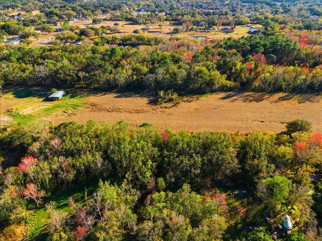 2016 Thornhill Road Auburndale, FL 33823 - Photo 9 of 15 a view of ocean view