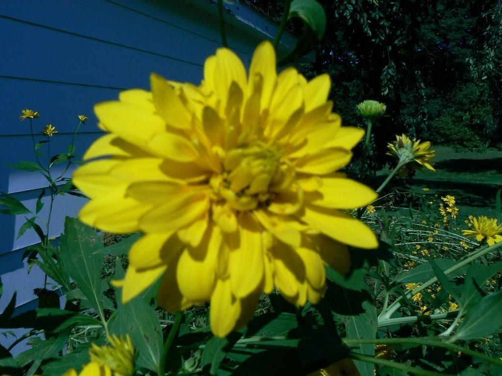 154 Dutton Road South China, ME 04358 - Photo 29 of 35 Photo