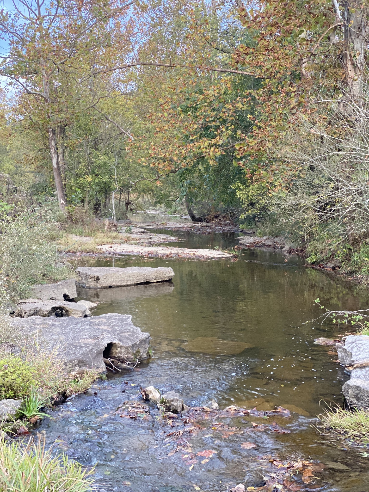 1333 County Line Road Watertown, TN 37184 - Photo 14 of 19 a view of lake with green space