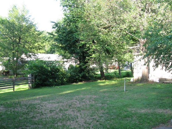 50 Greaney Street Springfield, MA 01104 - Photo 5 of 20 a view of a park with large trees