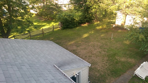 50 Greaney Street Springfield, MA 01104 - Photo 6 of 20 a view of outdoor space and yard