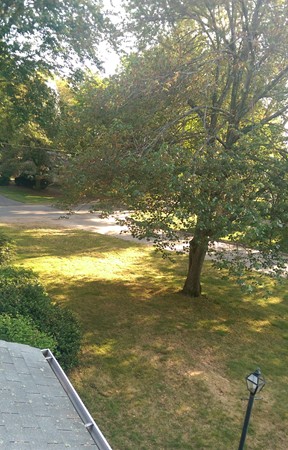 50 Greaney Street Springfield, MA 01104 - Photo 7 of 20 a view of an ocean from a balcony