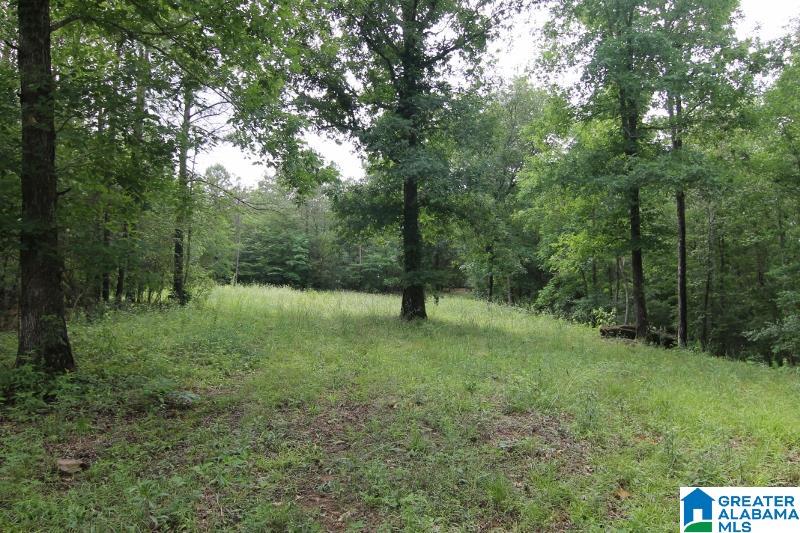 534 County Road, Unit 35± ACRES Woodland, AL 36280 - Photo 8 of 12